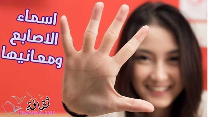 اسماء الاصابع ومعانيها لليد والقدم بالعربية والانجليزية والفرنسية ...