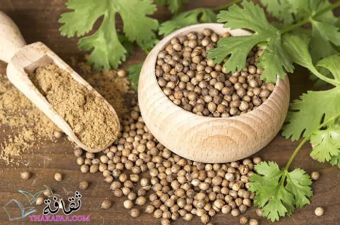 أعشاب لحرق الدهون البطن والأرداف
