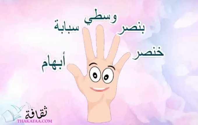 اسماء الاصابع ومعانيها