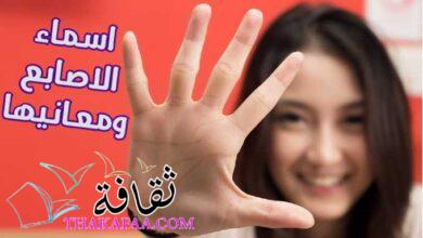 اسماء اصابع اليد بالعربية