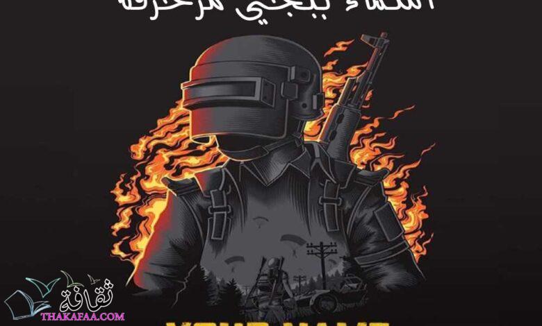 اسماء ببجي مزخرفة عربي وإنجليزي للاولاد والبنات 2023 اسماء ببجي مزخرفة عربي وإنجليزي للاولاد والبنات 2023