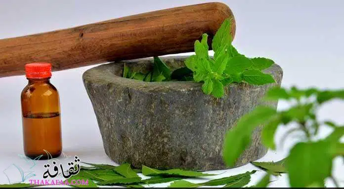 حرق دهون البطن بالأعشاب