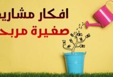 8 افكار مشاريع صغيرة مربحة جدا وغير مكلفة ناجحة للشباب 8 افكار مشاريع صغيرة مربحة جدا وغير مكلفة ناجحة للشباب