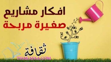 8 افكار مشاريع صغيرة مربحة جدا وغير مكلفة ناجحة للشباب 8 افكار مشاريع صغيرة مربحة جدا وغير مكلفة ناجحة للشباب