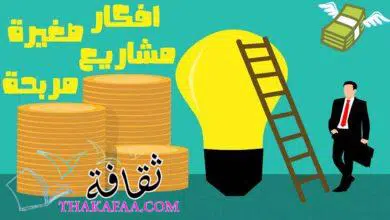 12 افكار مشاريع صغيرة مربحة جدا وغير مكلفة 2023