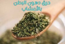 حرق دهون البطن بالأعشاب – وصفات تخسيس لحرق الدهون 2022 حرق دهون البطن بالأعشاب – وصفات تخسيس لحرق الدهون 2022
