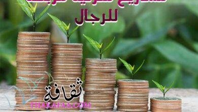 17 مشاريع منزلية مربحة للرجال برأس مال صغير أو بدون رأس مال 17 مشاريع منزلية مربحة للرجال برأس مال صغير أو بدون رأس مال