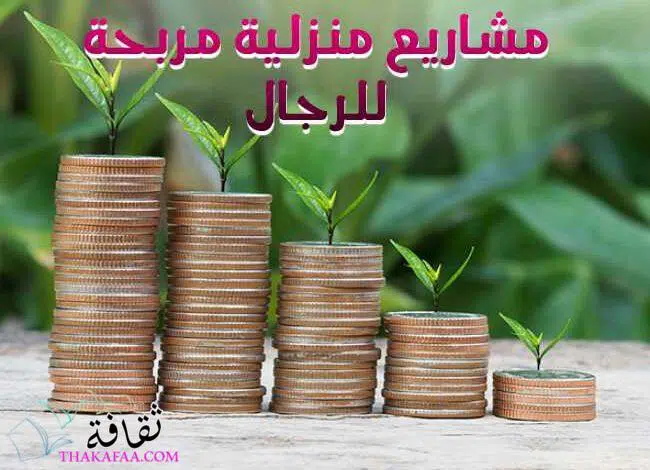 17 مشاريع منزلية مربحة للرجال برأس مال صغير أو بدون رأس مال