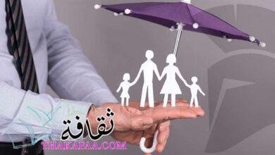 وثائق التأمين على الحياة وجميع الشروط المطلوبة للتأمين 2023 وثائق التأمين على الحياة وجميع الشروط المطلوبة للتأمين 2023