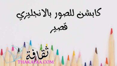 أجمل +90 كابشن للصور بالانجليزي قصير مترجم جاهز للنسخ أجمل +90 كابشن للصور بالانجليزي قصير مترجم جاهز للنسخ