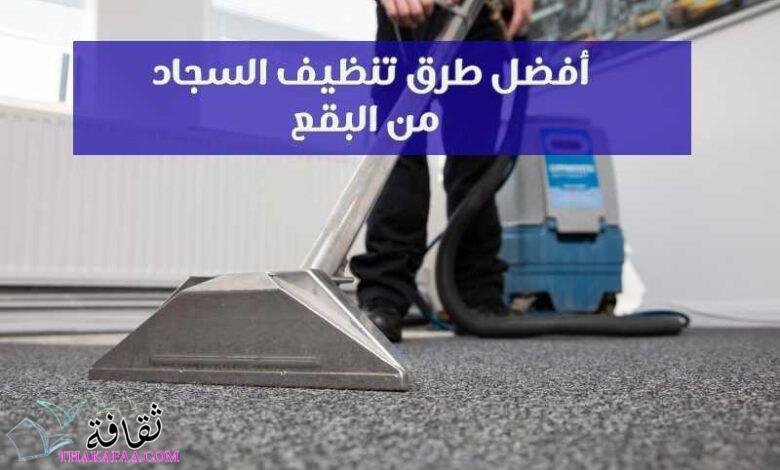 3 أفضل طرق تنظيف السجاد من البقع بسهولة في المنزل 3 أفضل طرق تنظيف السجاد من البقع بسهولة في المنزل