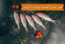 +55 اقتراحات اسم محل أسماك يجذب الزبائن , افضل اسماء محلات الاكلات البحرية +55 اقتراحات اسم محل أسماك يجذب الزبائن , افضل اسماء محلات الاكلات البحرية