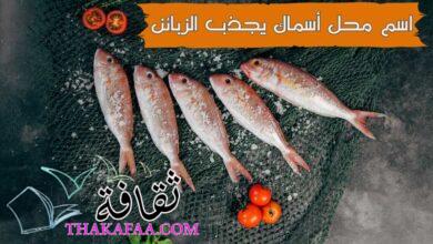 +55 اقتراحات اسم محل أسماك يجذب الزبائن , افضل اسماء محلات الاكلات البحرية +55 اقتراحات اسم محل أسماك يجذب الزبائن , افضل اسماء محلات الاكلات البحرية