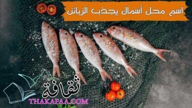 +55 اقتراحات اسم محل أسماك يجذب الزبائن , افضل اسماء محلات الاكلات البحرية +55 اقتراحات اسم محل أسماك يجذب الزبائن , افضل اسماء محلات الاكلات البحرية