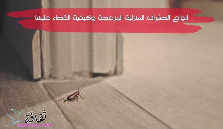 جميع انواع الحشرات المنزلية المزعجة وكيفية القضاء عليها جميع انواع الحشرات المنزلية المزعجة وكيفية القضاء عليها