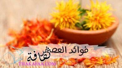 فوائد العصفر للخوف واهم استخداماتة كبديل للزعفران فوائد العصفر للخوف واهم استخداماتة كبديل للزعفران