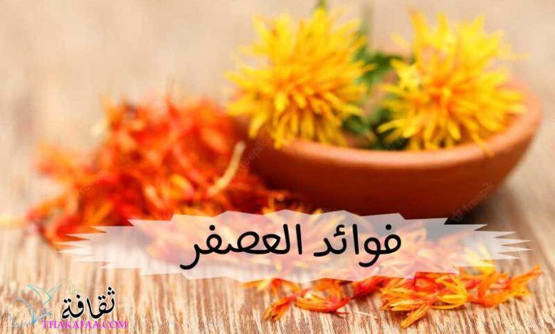 فوائد العصفر للخوف واهم استخداماتة كبديل للزعفران فوائد العصفر للخوف واهم استخداماتة كبديل للزعفران