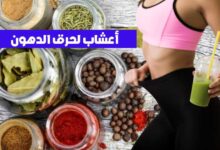 +15 أفضل أعشاب لحرق الدهون البطن والأرداف +15 أفضل أعشاب لحرق الدهون البطن والأرداف