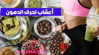 +15 أفضل أعشاب لحرق الدهون البطن والأرداف