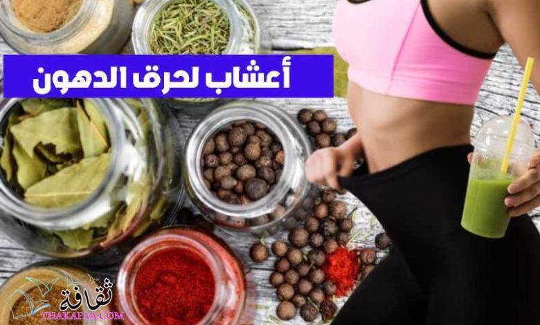 +15 أفضل أعشاب لحرق الدهون البطن والأرداف +15 أفضل أعشاب لحرق الدهون البطن والأرداف
