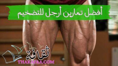 افضل تمارين ارجل للتضخيم منزلية للمبتدئين – تضخيم سريع افضل تمارين ارجل للتضخيم منزلية للمبتدئين – تضخيم سريع