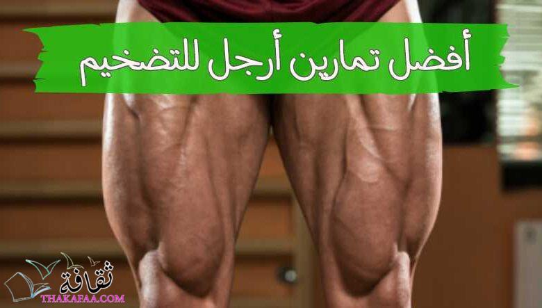 افضل تمارين ارجل للتضخيم منزلية للمبتدئين – تضخيم سريع افضل تمارين ارجل للتضخيم منزلية للمبتدئين – تضخيم سريع