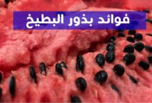 فوائد بذور البطيخ الصحية – بزر البطيخ فوائد وأضرار