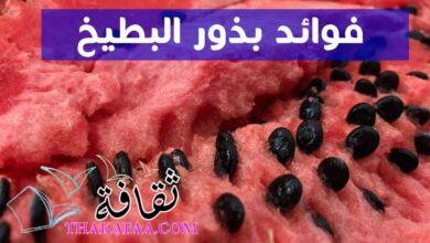 فوائد بذور البطيخ الصحية – بزر البطيخ فوائد وأضرار