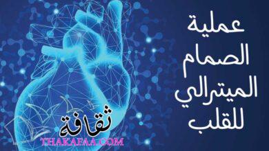 ما هي عملية الصمام الميترالي للقلب؟ وهل هي خطيرة 2023 ما هي عملية الصمام الميترالي للقلب؟ وهل هي خطيرة 2023