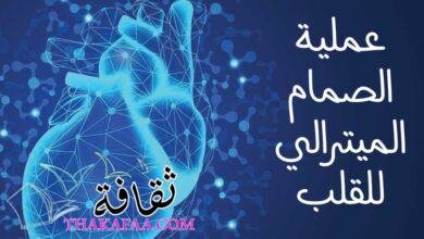 ما هي عملية الصمام الميترالي للقلب؟ وهل هي خطيرة 2023 ما هي عملية الصمام الميترالي للقلب؟ وهل هي خطيرة 2023