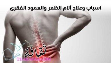 مقالك الشامل عن آلام الظهر وأسبابه مقالك الشامل عن آلام الظهر وأسبابه