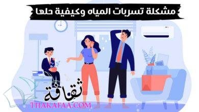 ما هي مشكلة تسربات المياه وكيفية حلها؟ ما هي مشكلة تسربات المياه وكيفية حلها؟