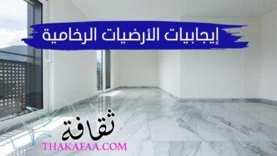 جميع إيجابيات وسلبيات الأرضيات الرخامية بالتفصيل جميع إيجابيات وسلبيات الأرضيات الرخامية بالتفصيل