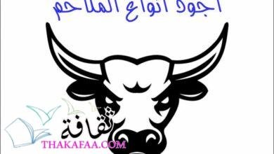 اجود انواع الملاحم اجود انواع الملاحم