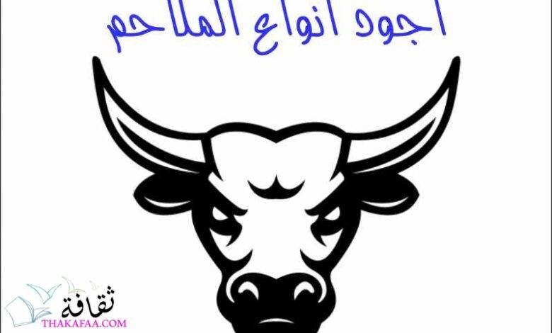 اجود انواع الملاحم اجود انواع الملاحم