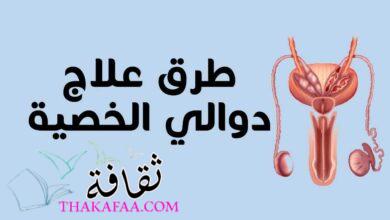 طرق علاج دوالي الخصية 2023 مع دكتور أسامة حتة طرق علاج دوالي الخصية 2023 مع دكتور أسامة حتة