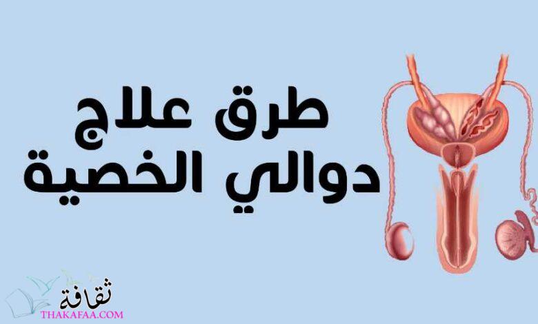 طرق علاج دوالي الخصية 2023 مع دكتور أسامة حتة طرق علاج دوالي الخصية 2023 مع دكتور أسامة حتة