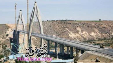 الفوترة الإلكترونية للمملكة العربية السعودية: الحقول الإلزامية