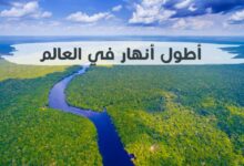 5 أطول أنهار في العالم بالترتيب من حيث معدل تدفق المياه 5 أطول أنهار في العالم بالترتيب من حيث معدل تدفق المياه