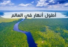5 أطول أنهار في العالم بالترتيب من حيث معدل تدفق المياه 5 أطول أنهار في العالم بالترتيب من حيث معدل تدفق المياه