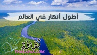 5 أطول أنهار في العالم بالترتيب من حيث معدل تدفق المياه 5 أطول أنهار في العالم بالترتيب من حيث معدل تدفق المياه