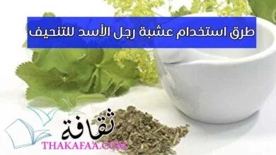 طريقة استخدام عشبة رجل الأسد للتنحيف مجربة 2023