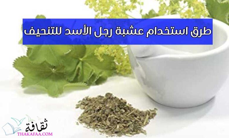 طريقة استخدام عشبة رجل الأسد للتنحيف مجربة 2023 طريقة استخدام عشبة رجل الأسد للتنحيف مجربة 2023