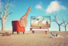 أفضل 10 مواقع افلام بدون اعلانات مجانا اونلاين شاهدها الآن