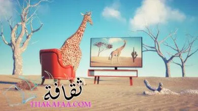 أفضل 10 مواقع افلام بدون اعلانات مجانا اونلاين شاهدها الآن