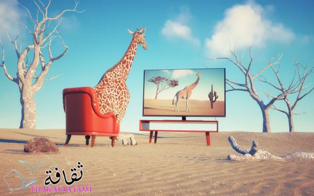 أفضل 10 مواقع افلام بدون اعلانات مجانا اونلاين شاهدها الآن أفضل 10 مواقع افلام بدون اعلانات مجانا اونلاين شاهدها الآن