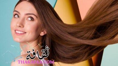 لماذا الرجال يحبون الشعر الطويل؟ لماذا الرجال يحبون الشعر الطويل؟