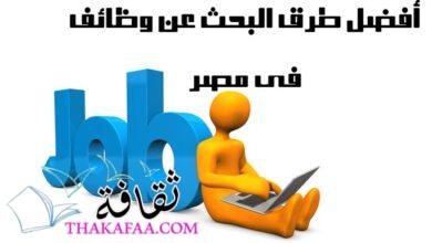 تعرف على أفضل طرق البحث عن وظائف في مصر تعرف على أفضل طرق البحث عن وظائف في مصر