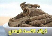 فوائد القسط الهندي ريق النحل للنساء فوائد القسط الهندي ريق النحل للنساء
