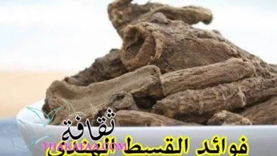 فوائد القسط الهندي ريق النحل للنساء فوائد القسط الهندي ريق النحل للنساء